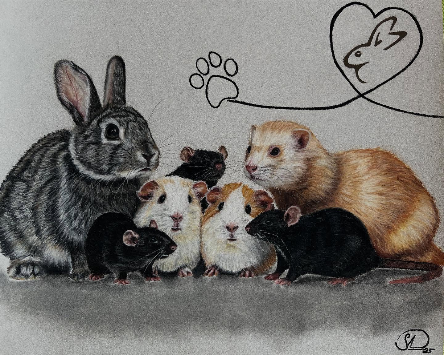 Ukázka kresby mazlíčka